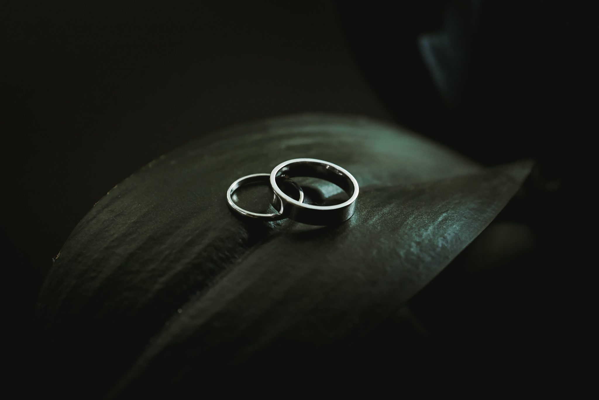 Beginner's Guide to Black Gold Everything You Need to Know